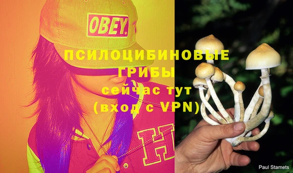 мескалин Гусь-Хрустальный