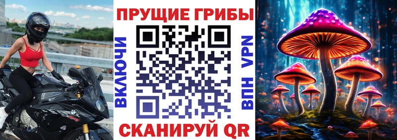 Псилоцибиновые грибы Psilocybe  Пласт 