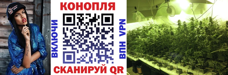 Бошки Шишки тримм Пласт